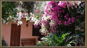 Cottage | Exterior