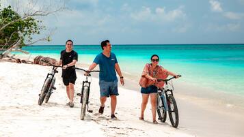 Three people walking on a sandy beach with bicycles, a clear blue ocean in the background, and a tree to the left.