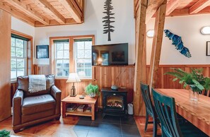 Smart-TV, Kamin