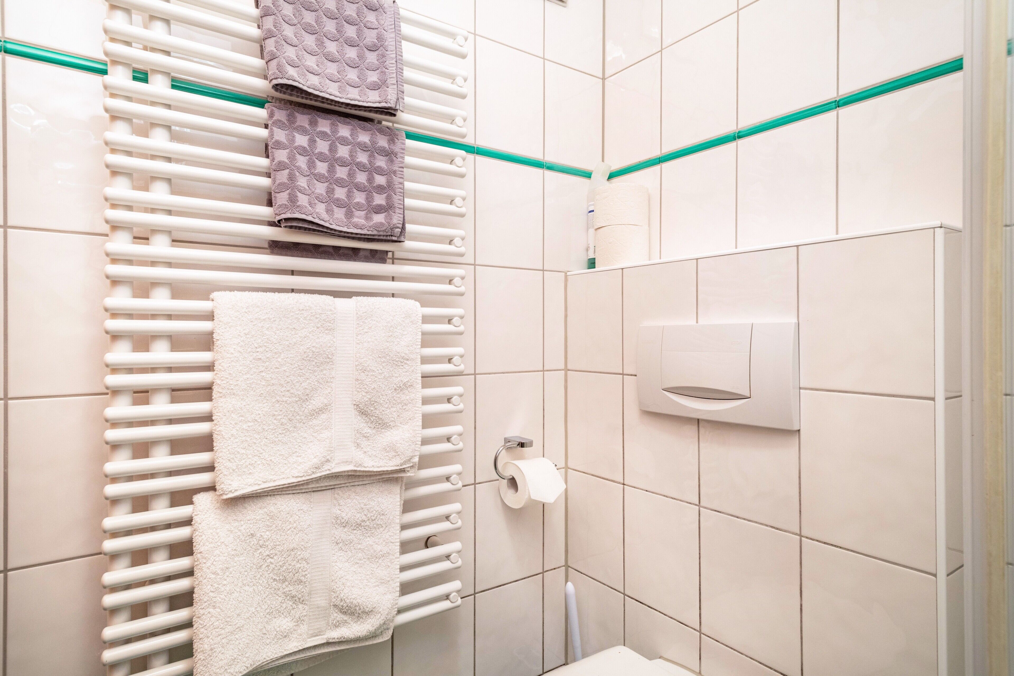 Ein Badezimmer mit Handtuchhalter, Toilettenpapierhalter und einem Handtrockner.