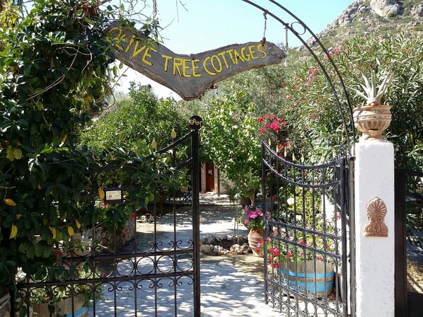 A wrought iron gate with a sign reading "Live Tree Cottages."