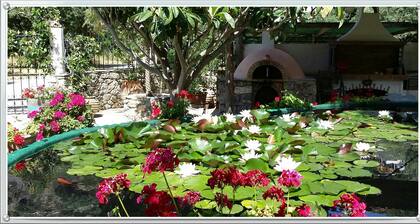 Excusive 1 bedroom Cottage in Paleochora