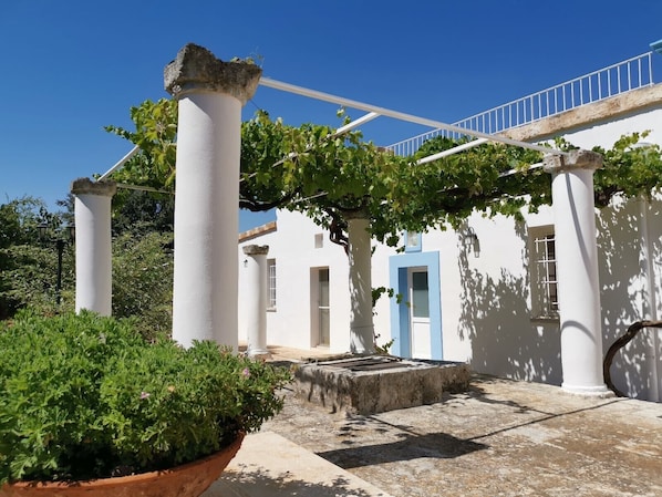 A white building with a blue door, columns, and a pergola covered with vines.