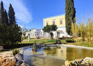 Property grounds - Apartment 'Casina Delle Rose - Levante' with Shared Terrace, Wi-Fi, and Air Conditioning (POLIGNANO A MARE)