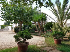 Property grounds - Apartment "Casina delle Rose - Scirocco" with Shared Garden and Wi-Fi (POLIGNANO A MARE)