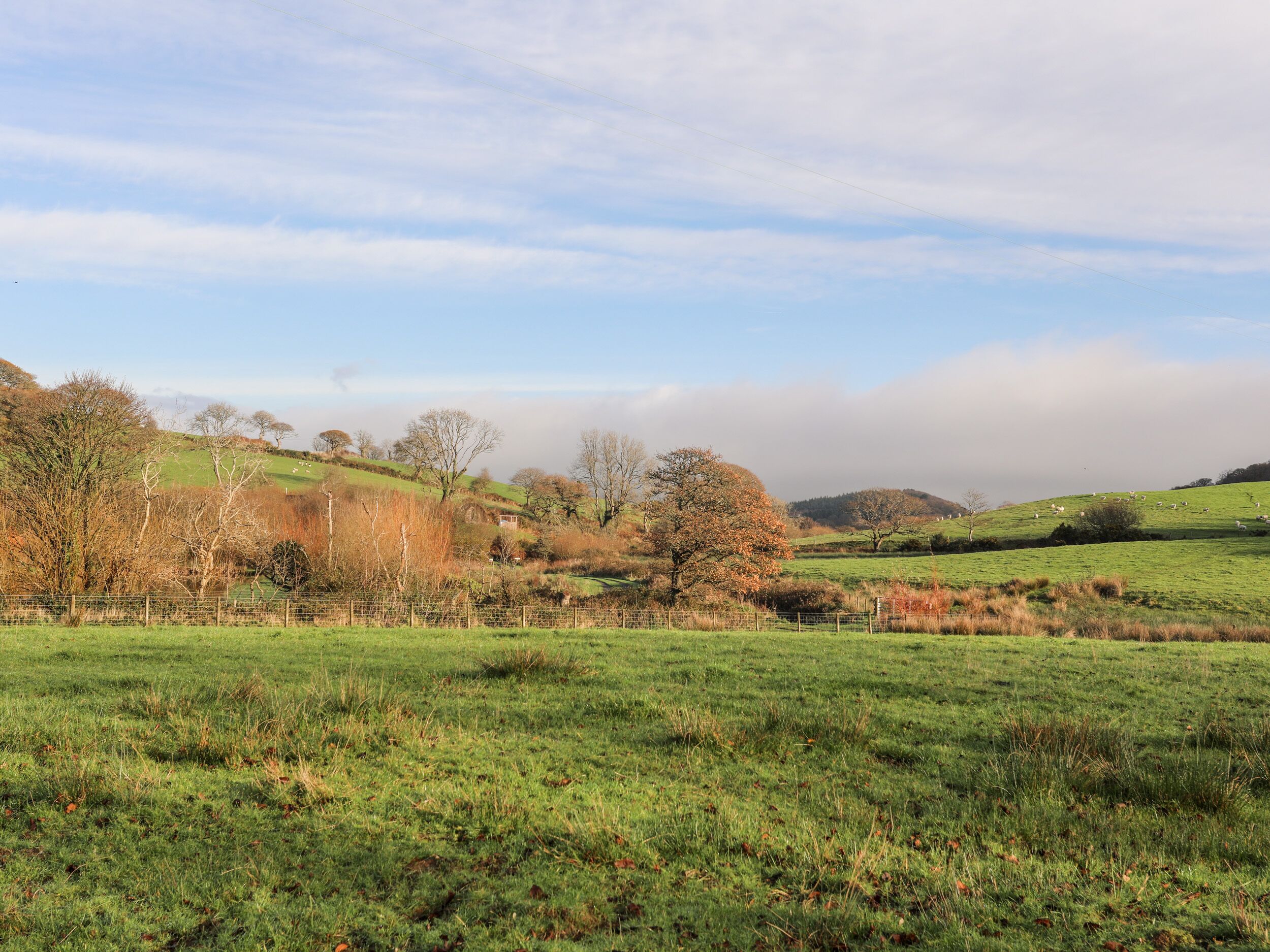 Un paysage rural caractérisé par des collines douces, un champ délimité par une clôture et des arbres dispersés.