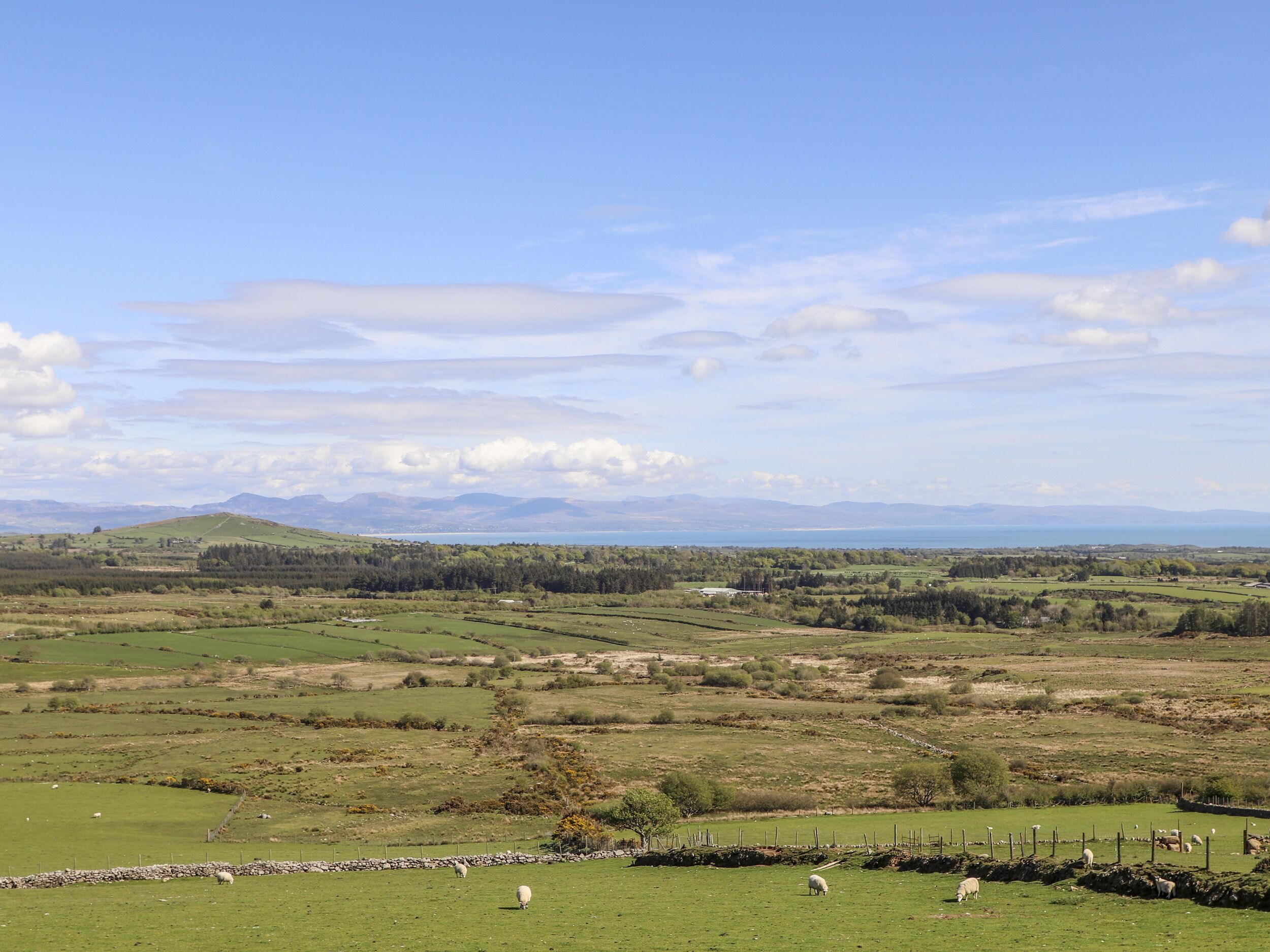 A rural landscape with green fields, a stone wall, and a distant mountain range.