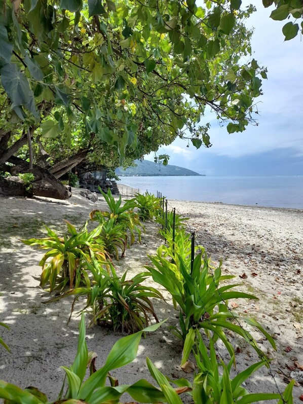 On the beach, sun loungers, beach towels
