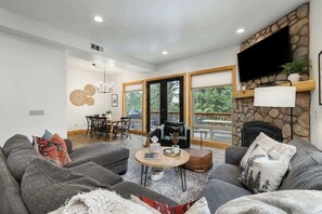 Télévision, cheminée, livres, espaces bureaux