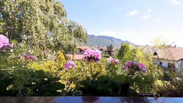 Un giardino con fiori rosa e vista su case e montagne.