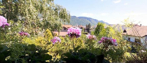 Terrain de lâhĂ©bergement