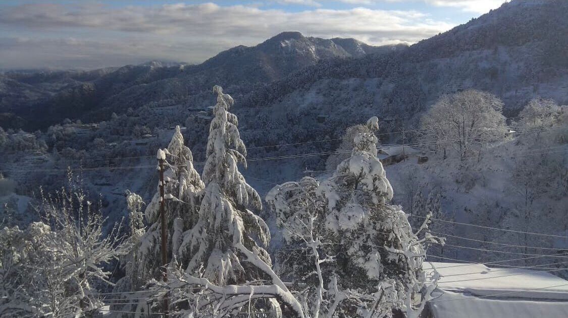 Un paisaje montañoso con árboles cubiertos de nieve y cielo despejado.