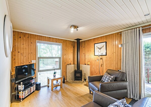 A cozy living room with wooden walls, a fireplace, a television, and a comfortable sofa.