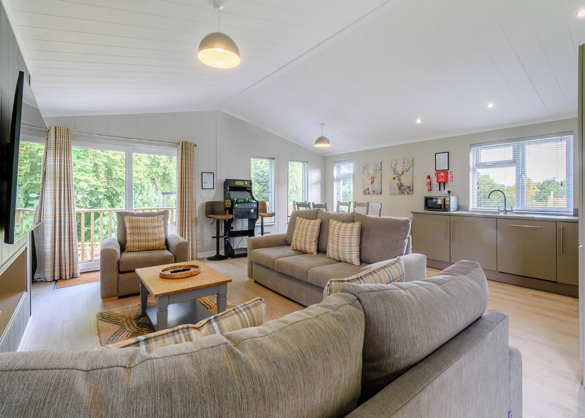 Living Room, Living Dining Room