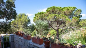 A stone wall with potted plants and a tree. - Holiday Home 'Andrea' with Mountain View, Private Terrace and Wi-Fi (Tossa de Mar)