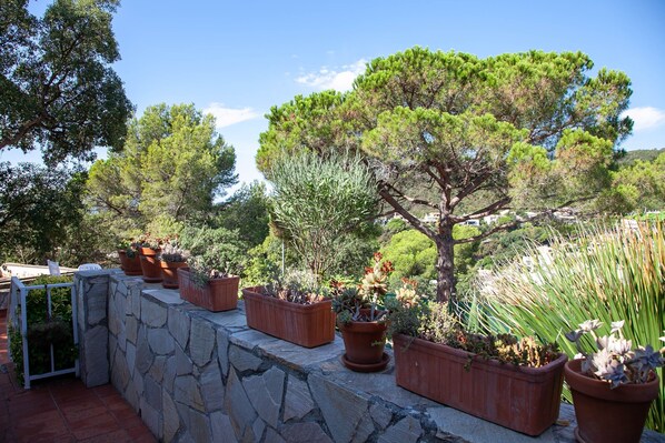 A stone wall with potted plants and a tree.