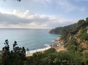 Plage à proximité
