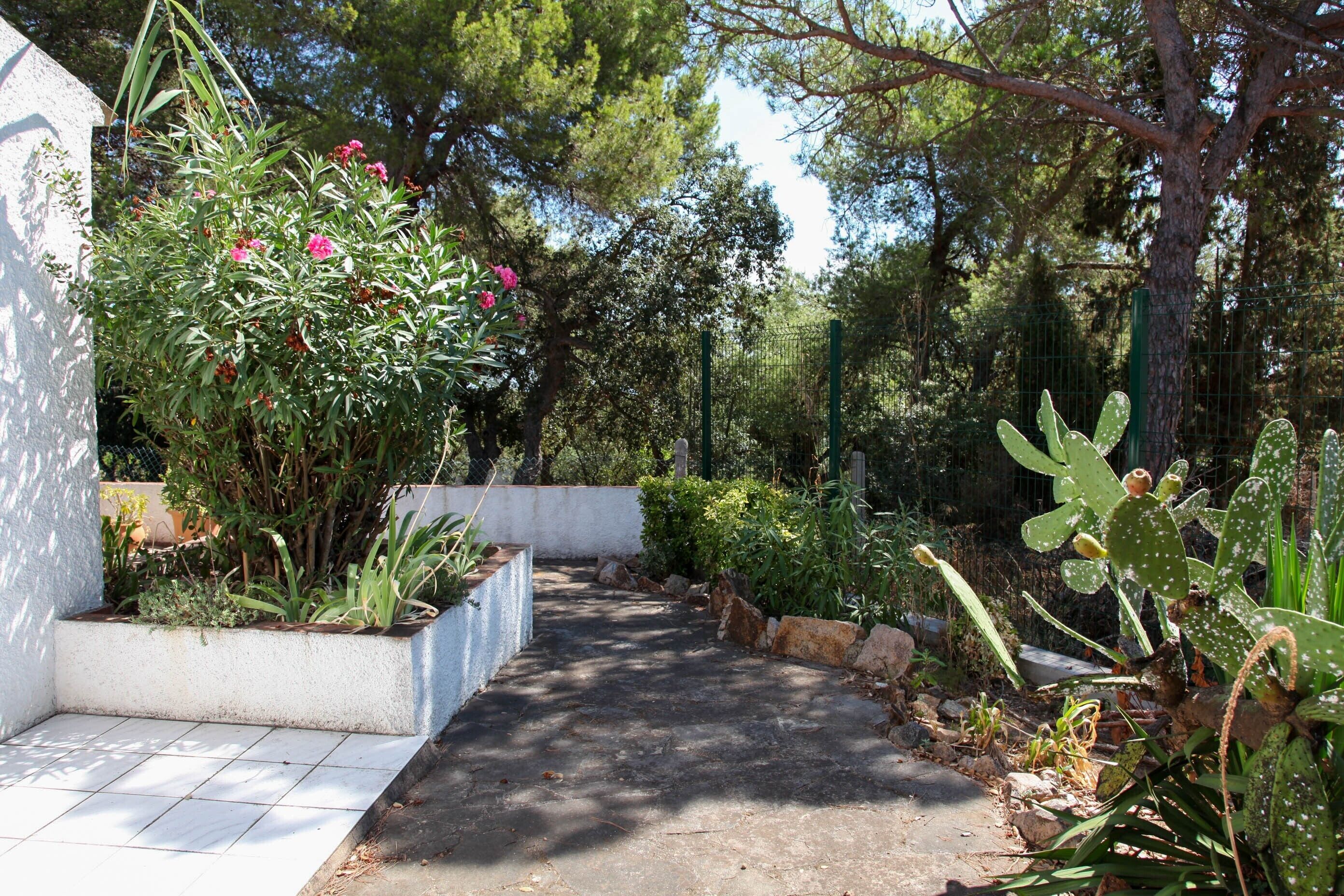 Un sendero en un jardín con plantas y un cactus.