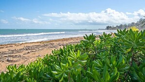 Ein Strand mit grüner Vegetation im Vordergrund und einem klaren Himmel.