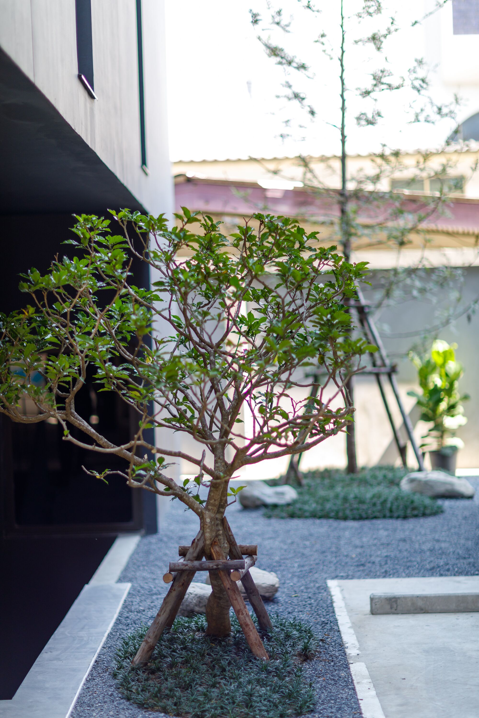 Foto - Benjarong Hotel Bangkok Ratchada