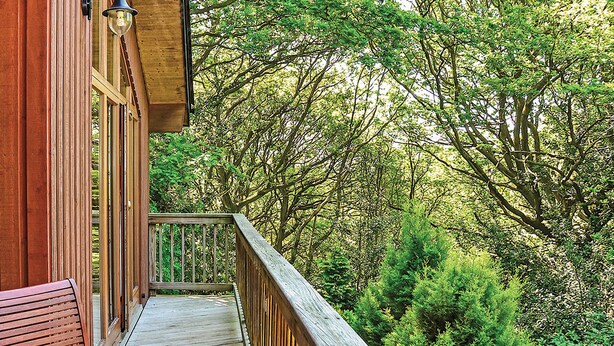 Une terrasse en bois avec un banc, donnant sur une forêt dense.