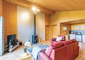 تلفزيون