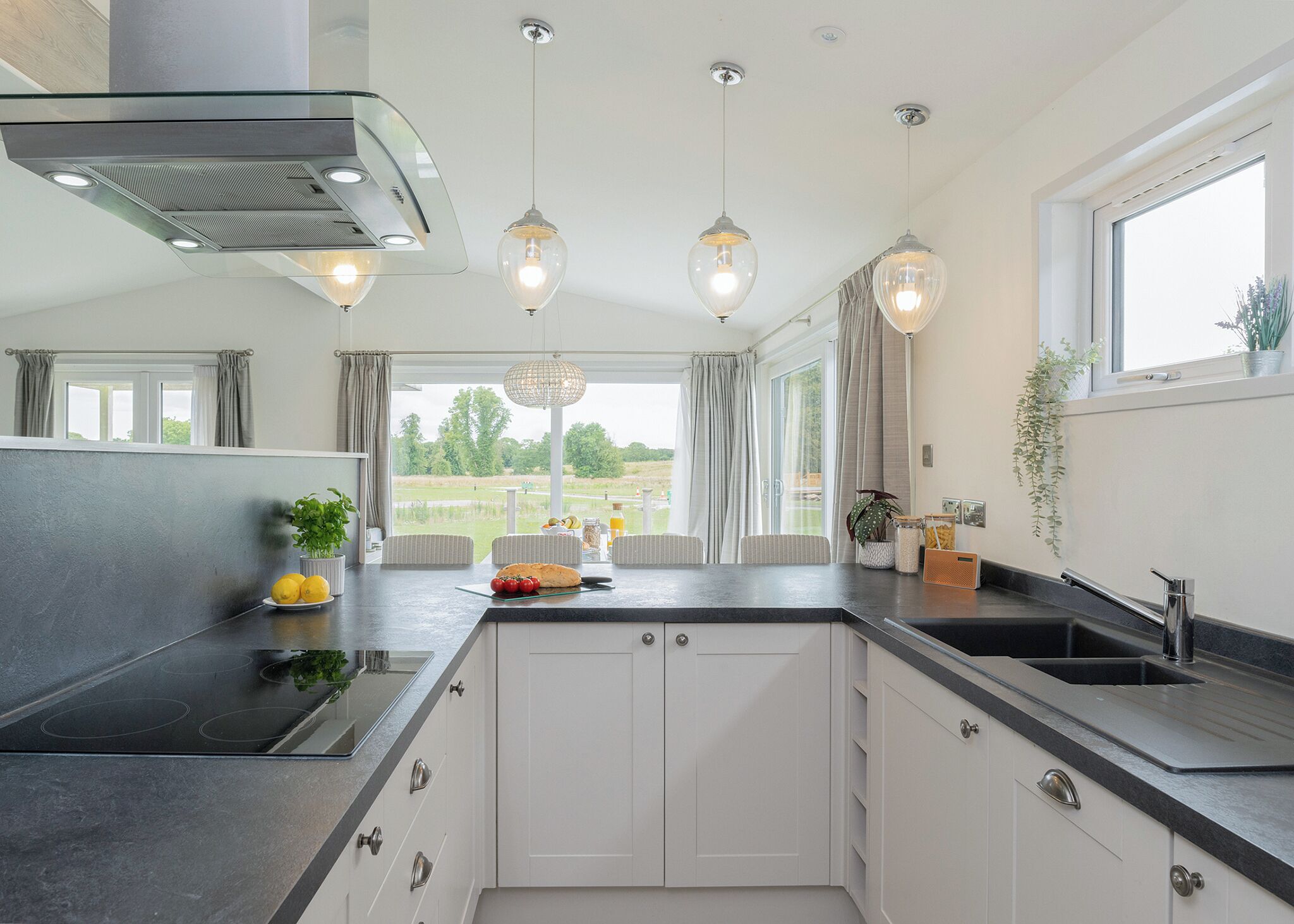 Fridge, oven, stovetop, dishwasher