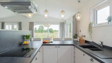 Fridge, oven, stovetop, dishwasher