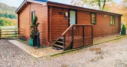 Woodland View Lodge 3
