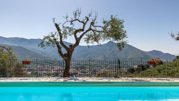 A swimming pool with a tree in the foreground and mountains in the background. - Villa 'Podere Par di Rota' with Pool, Terrace and Wi-Fi (Calci)