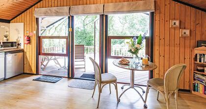 Charming, spacious and comfortable open plan lodge with log burner.