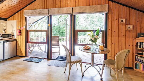 A cozy cabin with a wooden interior, a dining area with chairs, a table with a vase, and a bookshelf.