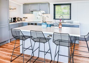 Fridge, oven, stovetop, toaster