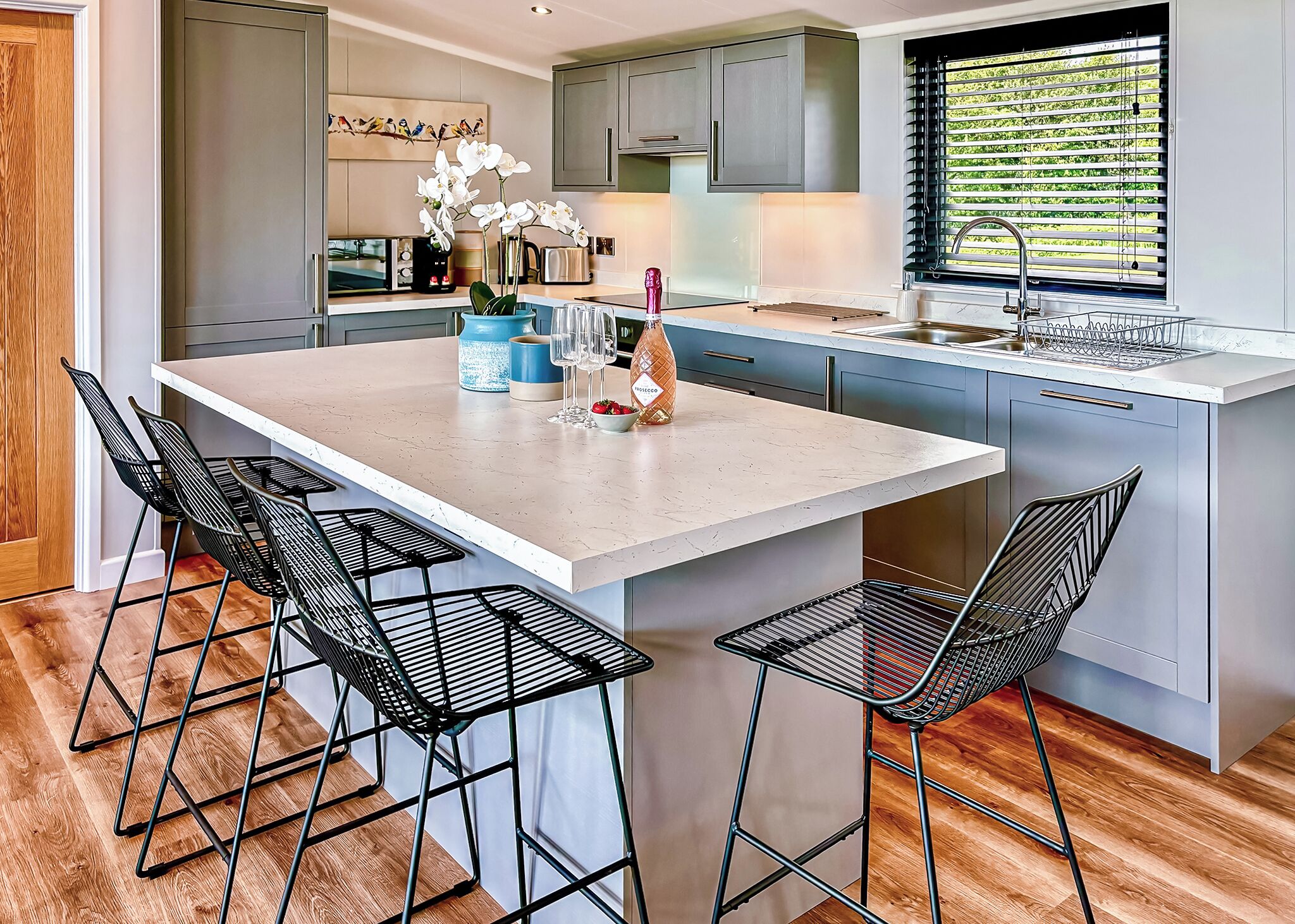 Fridge, oven, stovetop, toaster