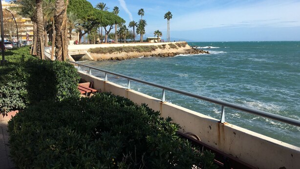 A coastal promenade with a stone barrier, palm trees, and a clear view of the sea. - Contemporary Apartment in Antibes with Terrace (Antibes)