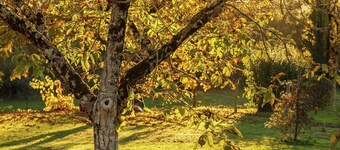 Familieverblijf in het schilderachtige Cazals