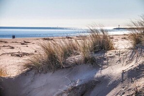 بالقرب من الشاطئ