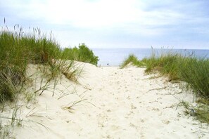 Playa en los alrededores