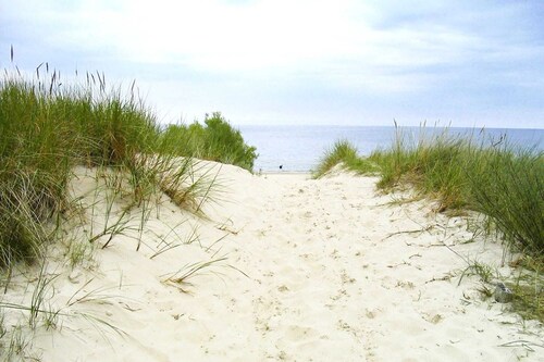 Reihenhaus Dünenwaldhaus Mitte in Trassenheide