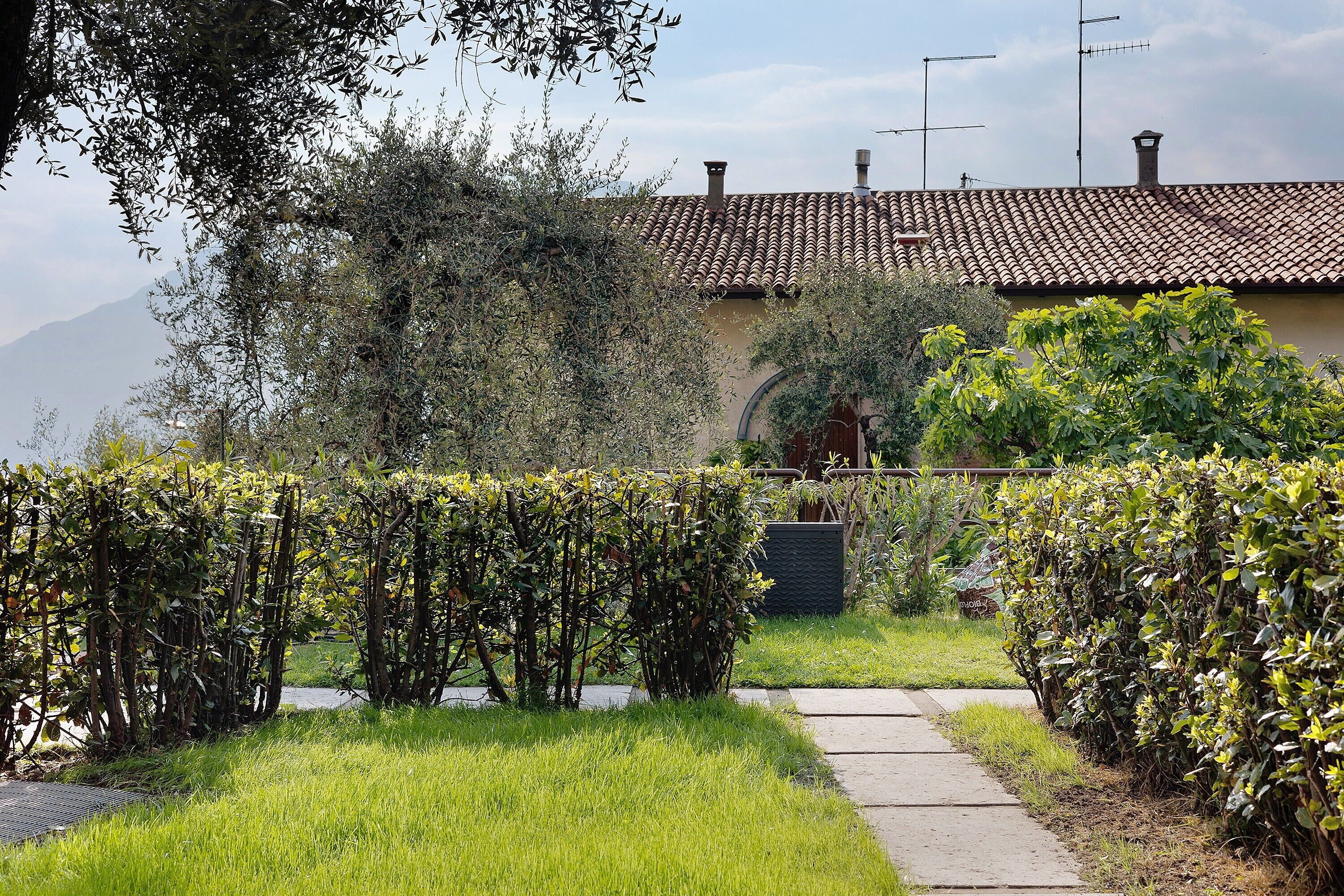 Parco della struttura
