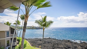 A beachfront property with a view of the ocean, palm trees, and a building with balconies. - Aloha Condos, Kanaloa at Kona, Condo 2906, Oceanfront, AC (Kailua Kona)