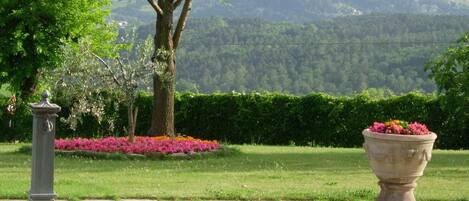 Área da propriedade