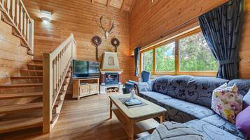 Smart-TV, DVD-Player