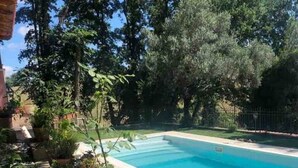 Una piscina con bordo piastrellato, circondata da piante in vaso e alberi.