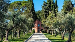 Un sentiero conduce a un edificio circondato da ulivi.