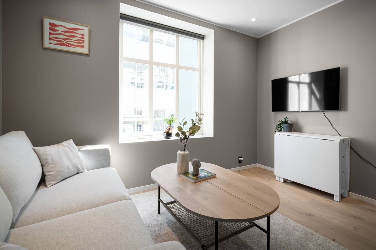 Een moderne woonkamer met een bank, een salontafel, een televisie en een radiator.