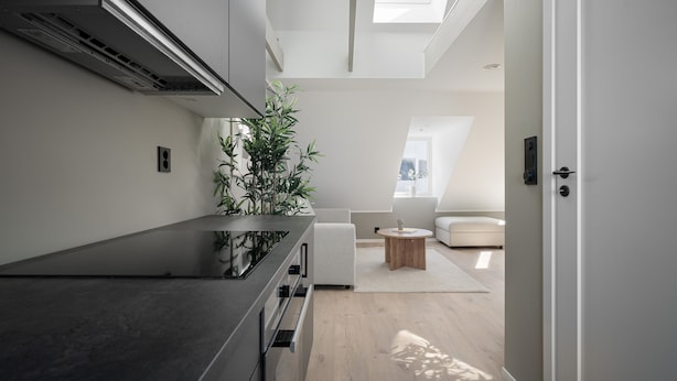 Eine moderne Küche mit schwarzem Arbeitsplatz, einem integrierten Herd und einem großen Fenster über der Spüle. Auf der Arbeitsfläche steht ein Blumentopf und im Wohnbereich ein Holztisch.