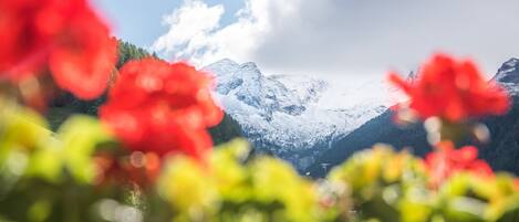 A mountain landscape with snow-capped peaks and a clear sky.