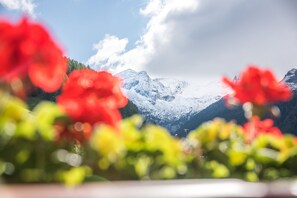 Miscellaneous - Apartment "Alpenblick Nr 5" with Shared Garden & Wi-Fi (Campo Tures)