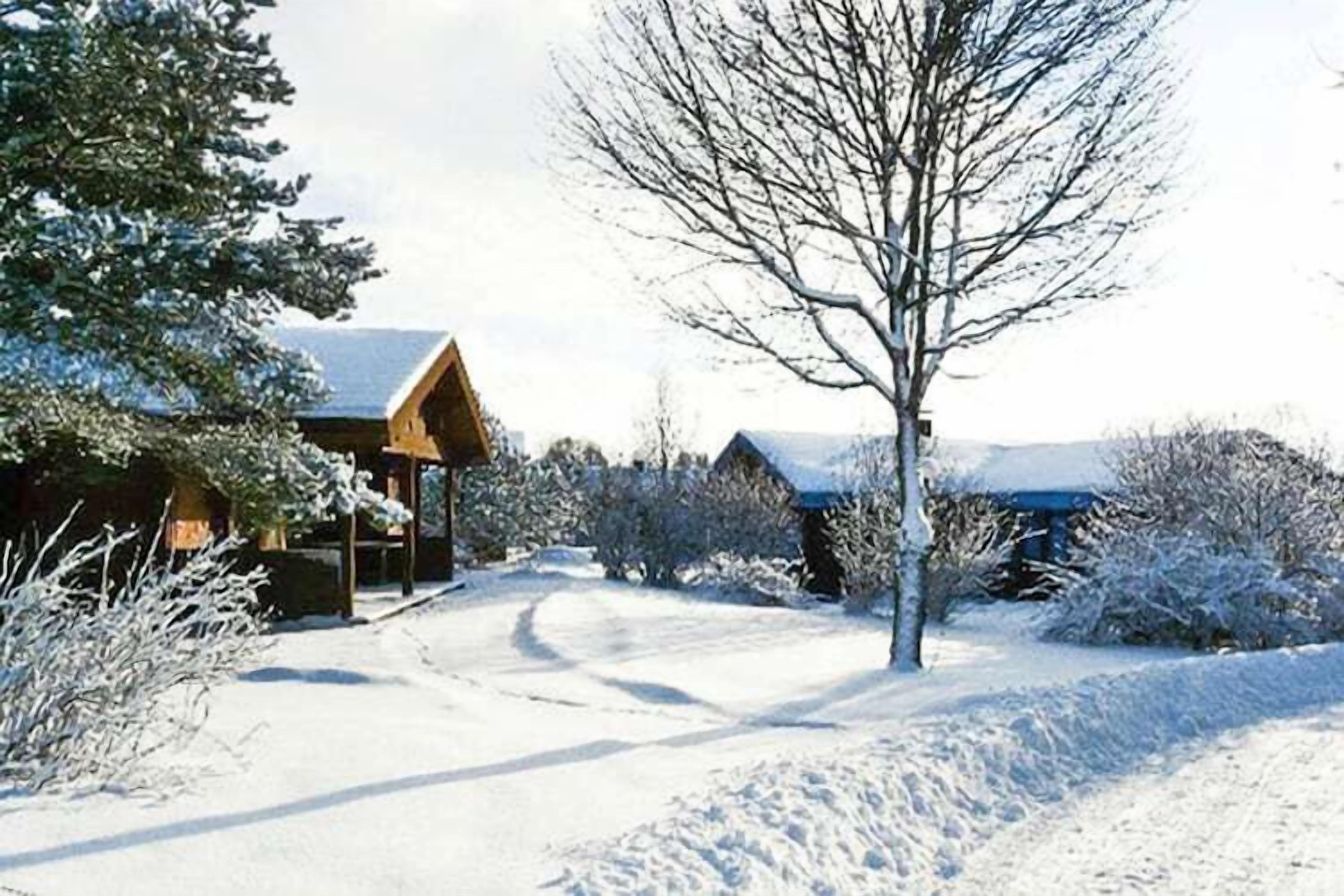 Schneebedeckte Landschaft mit Holzhütten und einem klaren Weg.